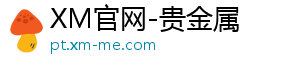XM集团